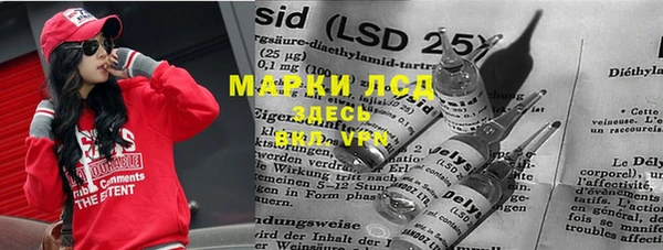 ПСИЛОЦИБИНОВЫЕ ГРИБЫ Беслан