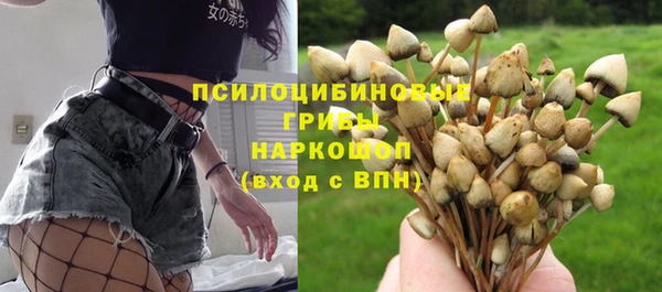 МДПВ Нея