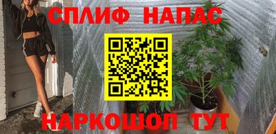мдпв Гусев