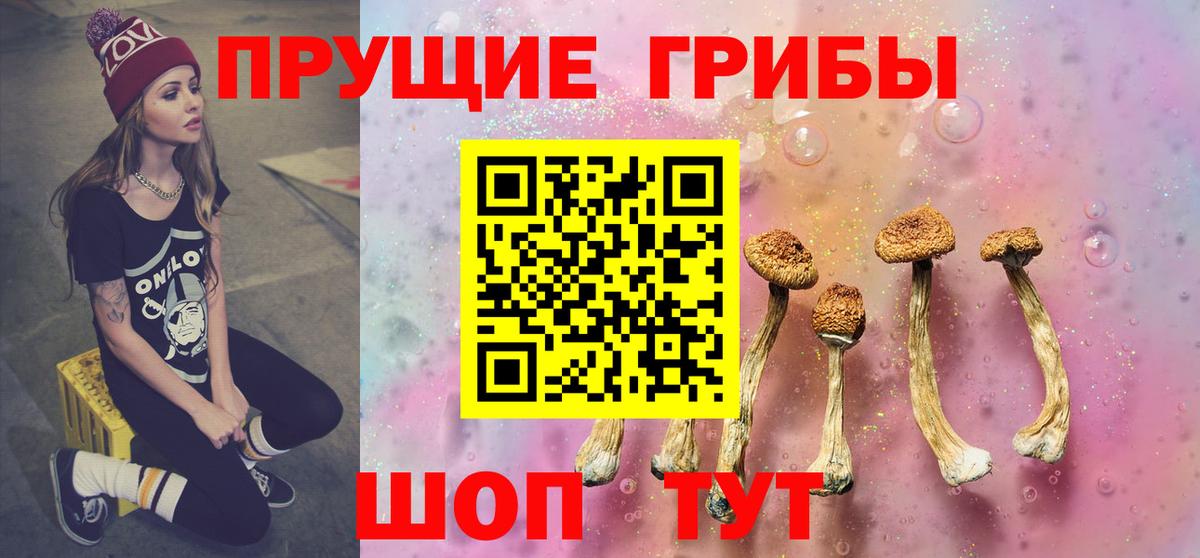 Кудрово  Псилоцибиновые грибы ЛСД  Вход с VPN 